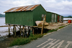 Boatshed at Rawene, 1986